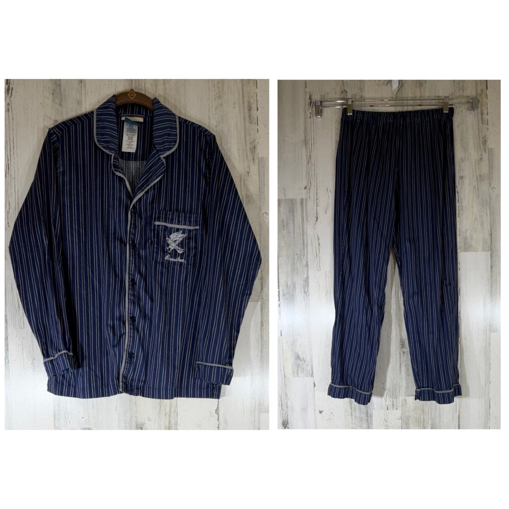 Pottery Barn Teen Harry Potter Ravenclaw Pajama Set Small Blue Stripe PJs Cotton